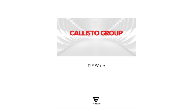 CAllisto Group WP