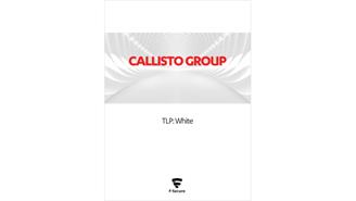 CAllisto Group WP