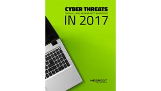 Webroot pyme WP