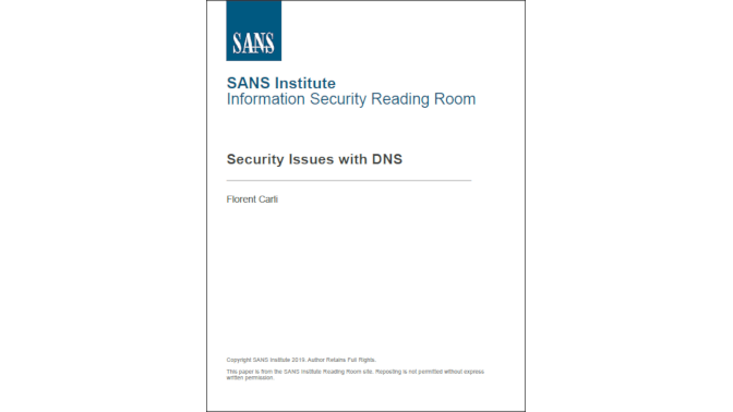 SANS Institute DNS