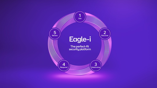 BT Eagle-i
