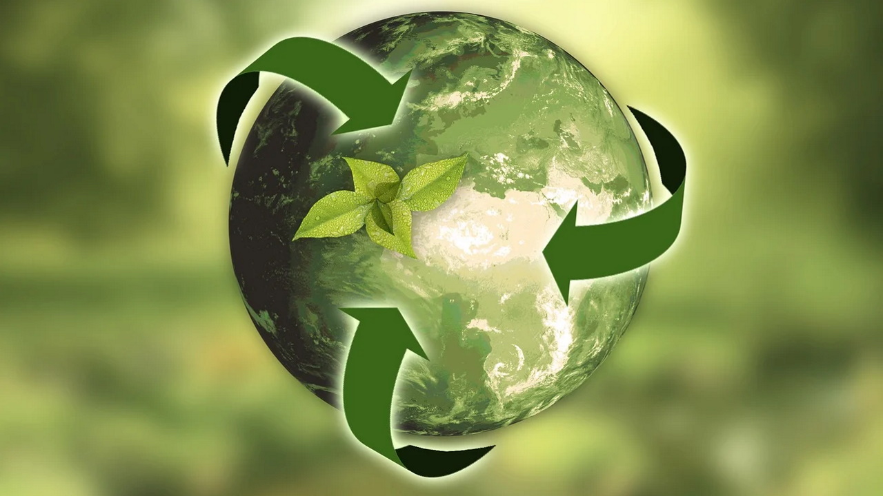 mundo sostenible