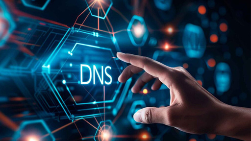 Serval Networks DNS
